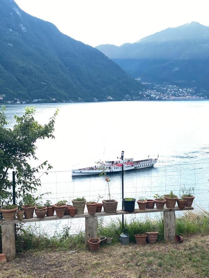 Gli Orti Della Civera " Cottagecore" Amazing View Nesso Exterior photo